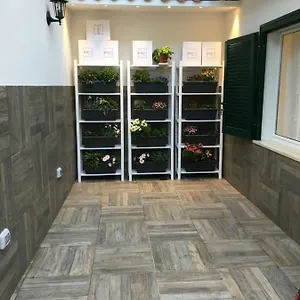 La Scalinata Di Chiaia Bed & Breakfast